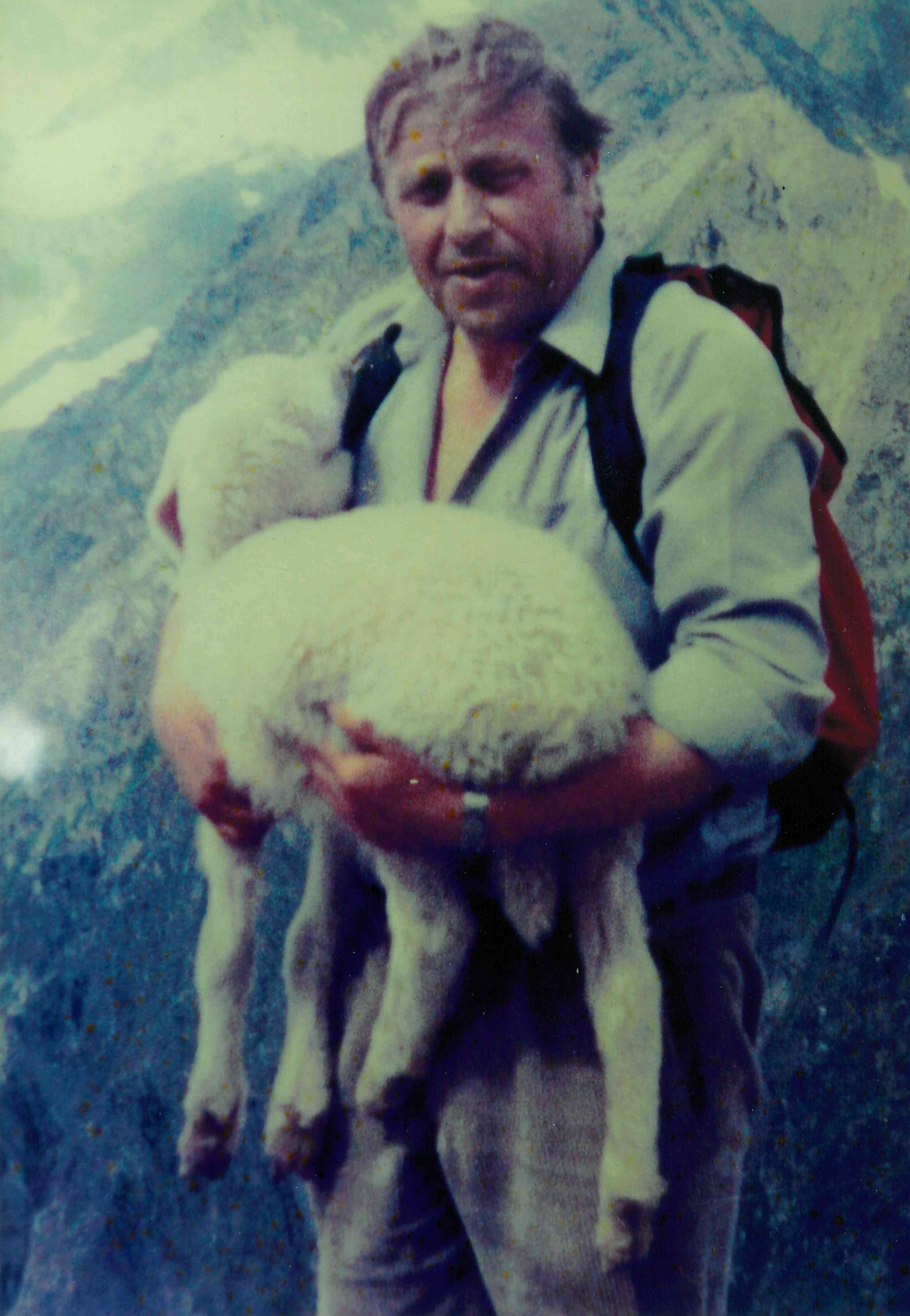 Heiner Fleckenstein mit Schäfchen